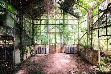 Abandoned greenhouse by Times of Impermanence