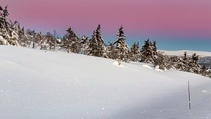 Winterlandschaft mit Venusband in Norwegen