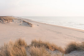Warm glow over the dunes on the beach | travel photography print | Netherlands by Kimberley Jekel | reisfotografie prints