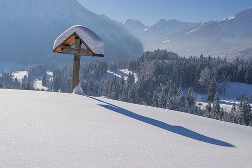 Field cross in winter