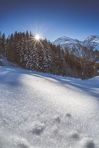 Sainte Foy Eiskristalle von Andy Troy