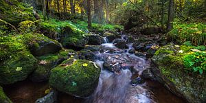 Herbst im Harz