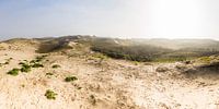 panorama van de duinen von Arjan van Duijvenboden Miniaturansicht