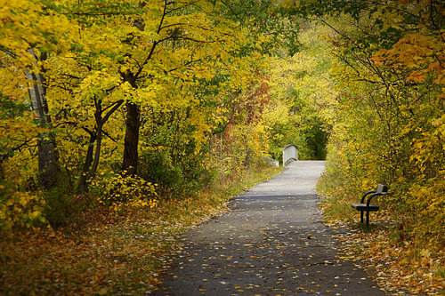 Idylle d'automne