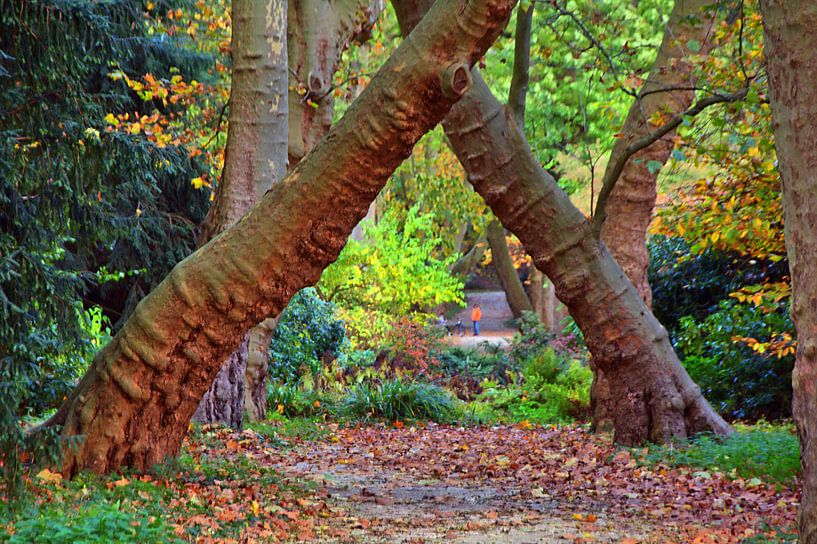 kruiselings van Edgar Schermaul