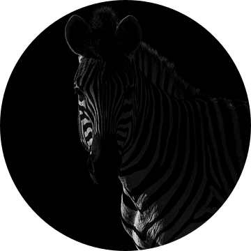 Schaduwspel Zebra in Monochromatische Mystiek