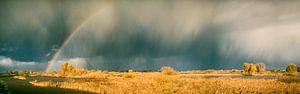Rainbow over the river IJssel