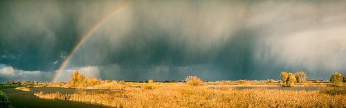 Regenboog over de IJssel