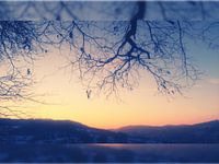 Ambiance hivernale