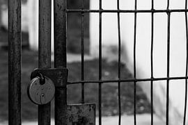 Protected garden sur 10x15 Fotografia