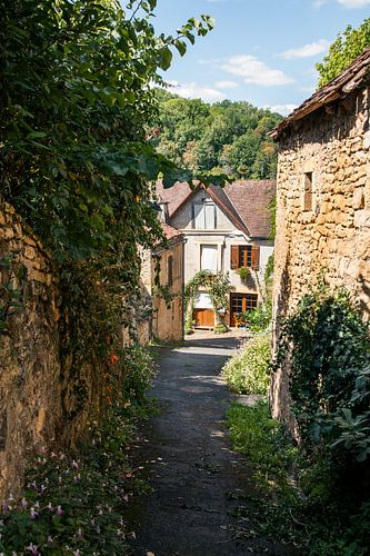 Alleyway in Limeuil by Jan van der Knaap