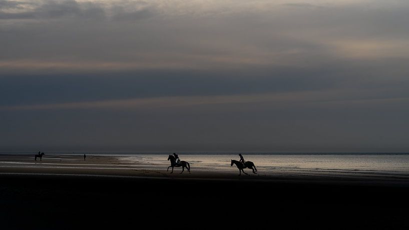 Paarden op het strand. van Henri Boer Fotografie
