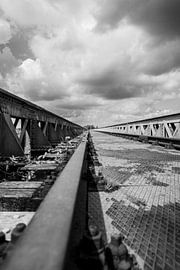 Le pont du marais en noir et blanc sur fotomeisjeuitbrabant