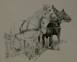 A four-in-hand team of Gelderland horses: a unique combination by Wim Romijn