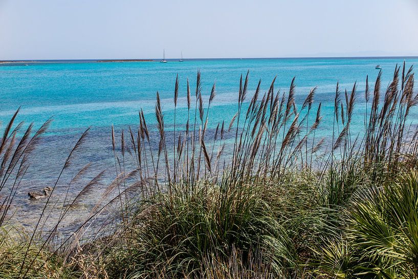 azure blue sea and reedbeds in sardinia by Eric van Nieuwland