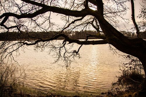 De IJzeren Man, Vught