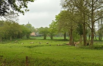 Anloo, Drenthe, Aa en Hunze 2