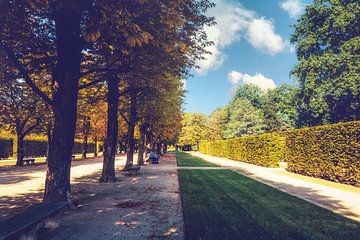 Pillnitz Palace - park in the vanishing point tree avenue by Jakob Baranowski - Photography - Video - Photoshop