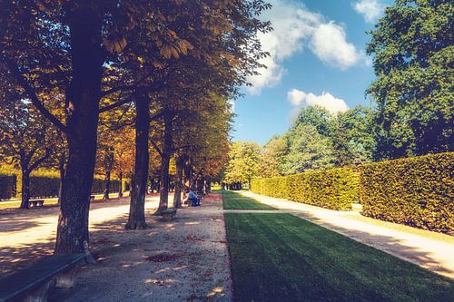 Pillnitz Palace - Park in de Escape Point Tree Alley
