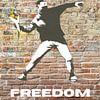 Banksy Poster Print impression d'art FREEDOM sur Niklas Maximilian