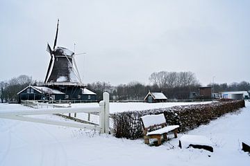 Deventer van math willems