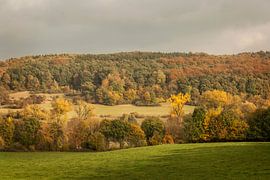 Herfst in Zuid-Limburg von John Kreukniet