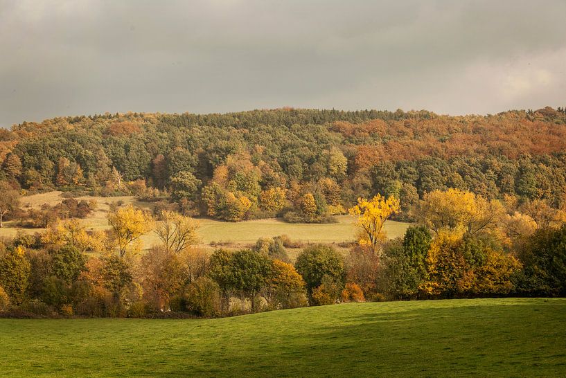 Herfst in Zuid-Limburg van John Kreukniet