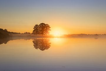 Zonsopkomst op het Scharreveld: Mist, Spiegelend Water en Drie Bomen van KB Design & Photography (Karen Brouwer)