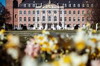 Paleistuin Trier van Luis Emilio Villegas Amador thumbnail