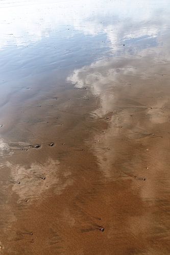 Kustlijn Reflecties Stilte van de Vloedlijn