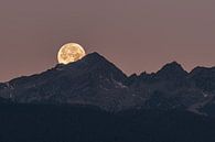 Pleine lune dans l'Adamello par Thomas Prechtl Aperçu