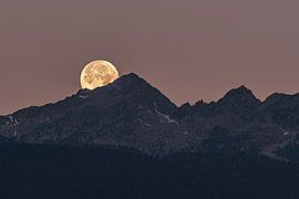 Vollmond im Adamello von Thomas Prechtl