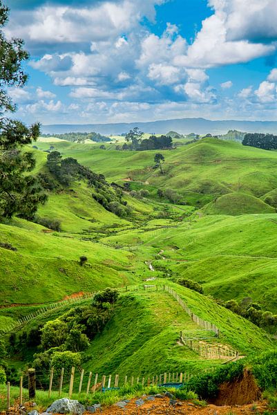 Landschaft Neuseeland von Ivo de Rooij