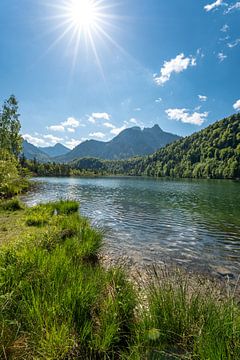 schöne Schwanensee im Allgäu beim Säuling, Neuschwanstein und Füssen von Leo Schindzielorz