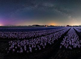 Melkwegpanorama over bloemenvelden. van Corné Ouwehand
