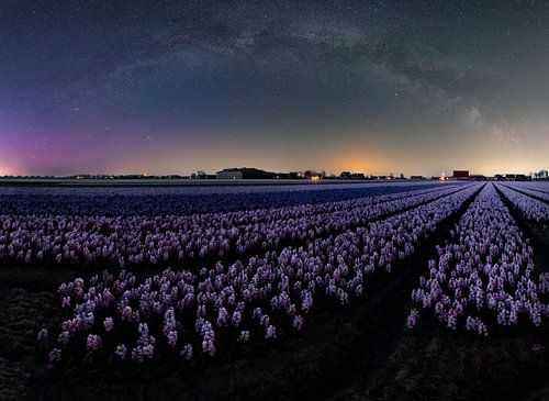 Milchstraßen-Panorama über Blumenfeldern.