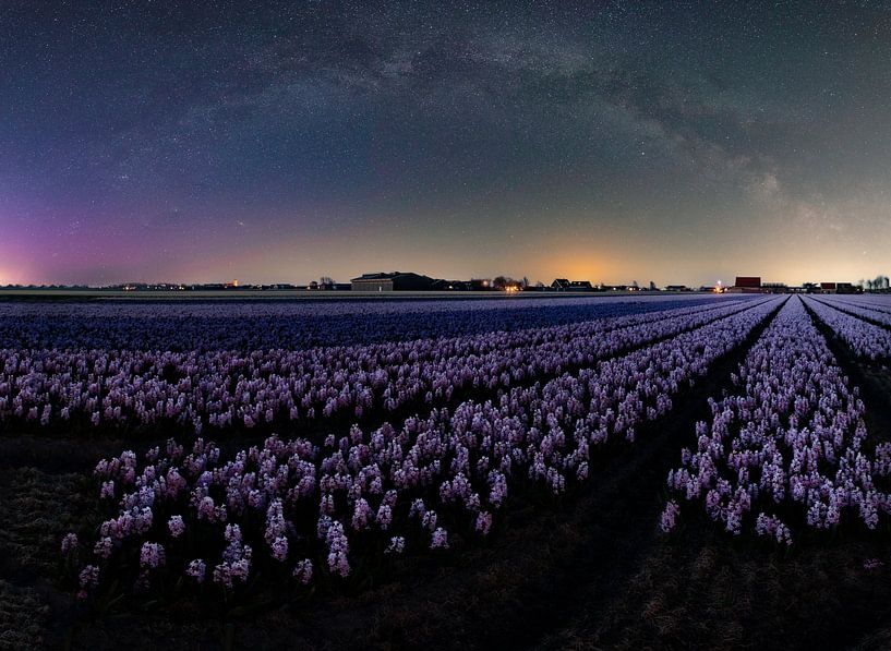 Milchstraßen-Panorama über Blumenfeldern. von Corné Ouwehand