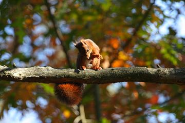 Oeps, ik heb ineens zo'n jeuk!