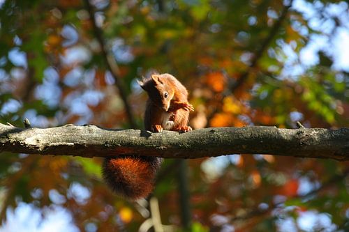 Oeps, ik heb ineens zo'n jeuk!