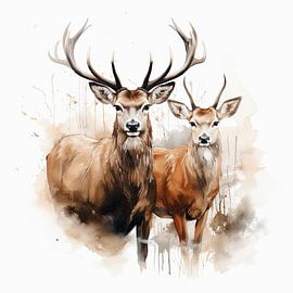 Two deer wildlife watercolour painting