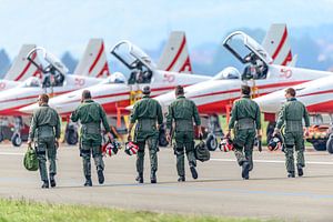 De piloten van Patrouille de Suisse: een hecht team. van Jaap van den Berg