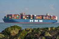 HMM container ship Hamburg. by Jaap van den Berg thumbnail