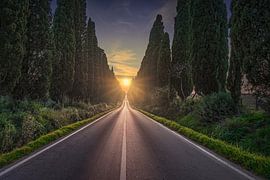 The sun in the middle in Bolgheri by Stefano Orazzini