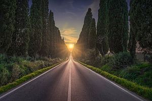 Die Sonne in der Mitte in Bolgheri
