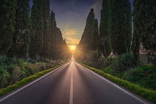 De zon in het midden in Bolgheri