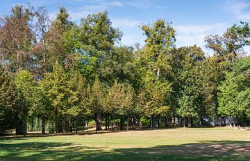 park with autumn trees van ChrisWillemsen