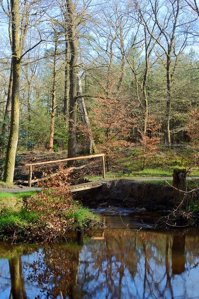 Forest stream with a bridge by Gerard de Zwaan
