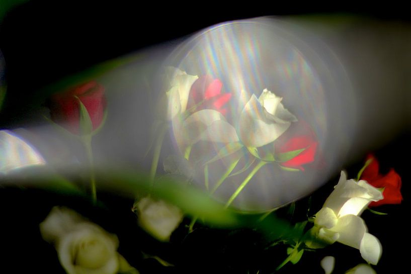 Blumenstrauß aus Rosen von Marianna Pobedimova