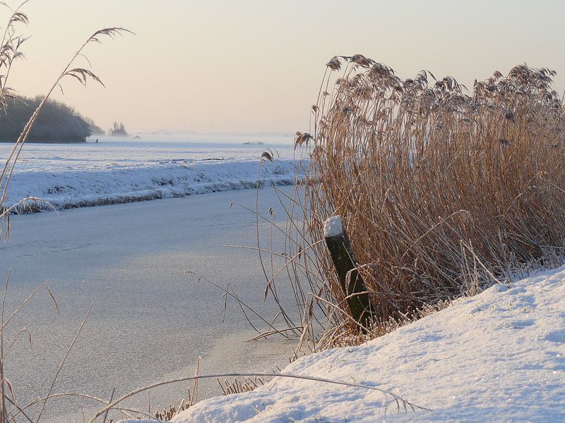 Riet by Natascha Tunderman