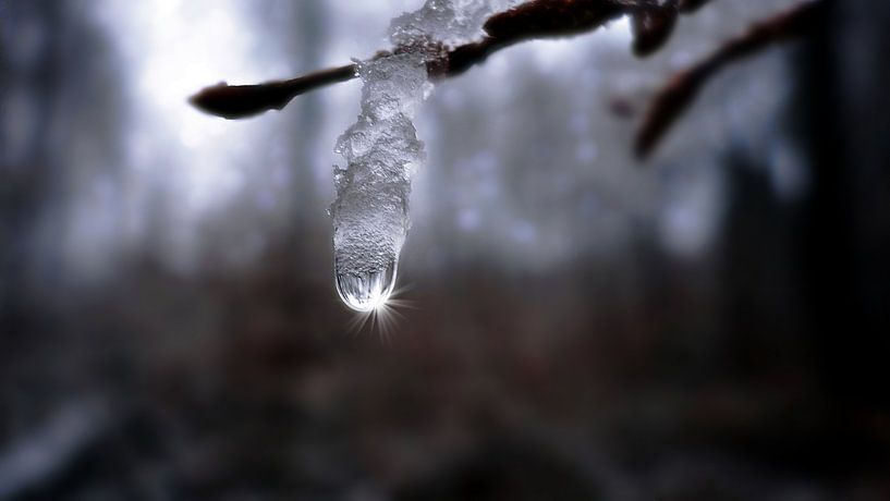 Sonne Im Eis von Daphne Photography